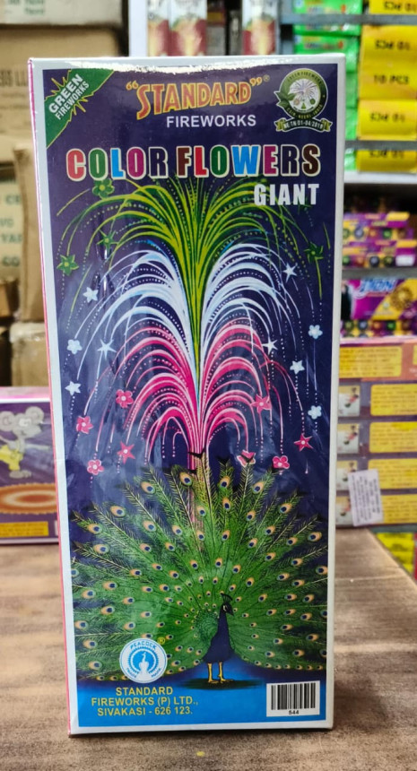 COLOR FLOWERS GIANT_ST