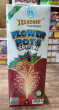 FLOWER POTS SPECIAL_ST