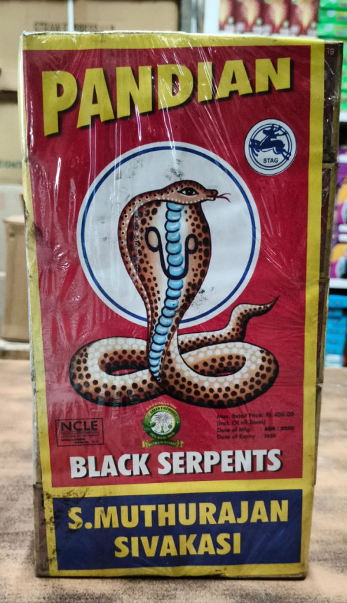SNAKE SERPENT EGG (ANAKONDA)